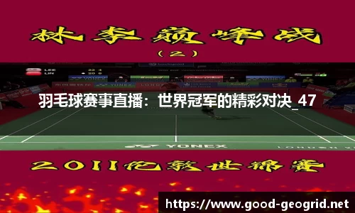 羽毛球赛事直播：世界冠军的精彩对决_47